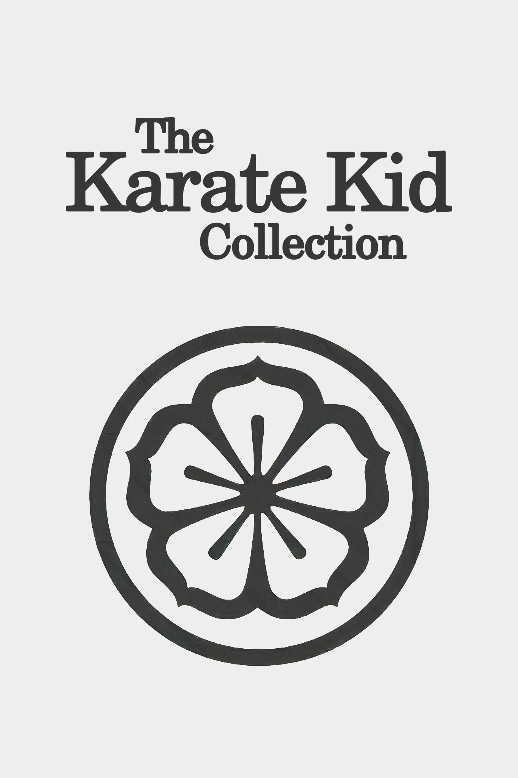 The Karate Kid [405311] (A1712567365) Collection (Movies) --Plex--